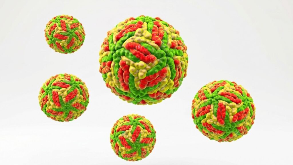 Powassan virus symptoms